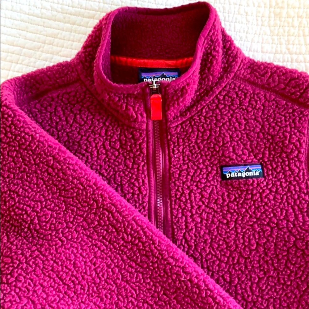 Patagonia Sherpa Fleece Sweatshirt